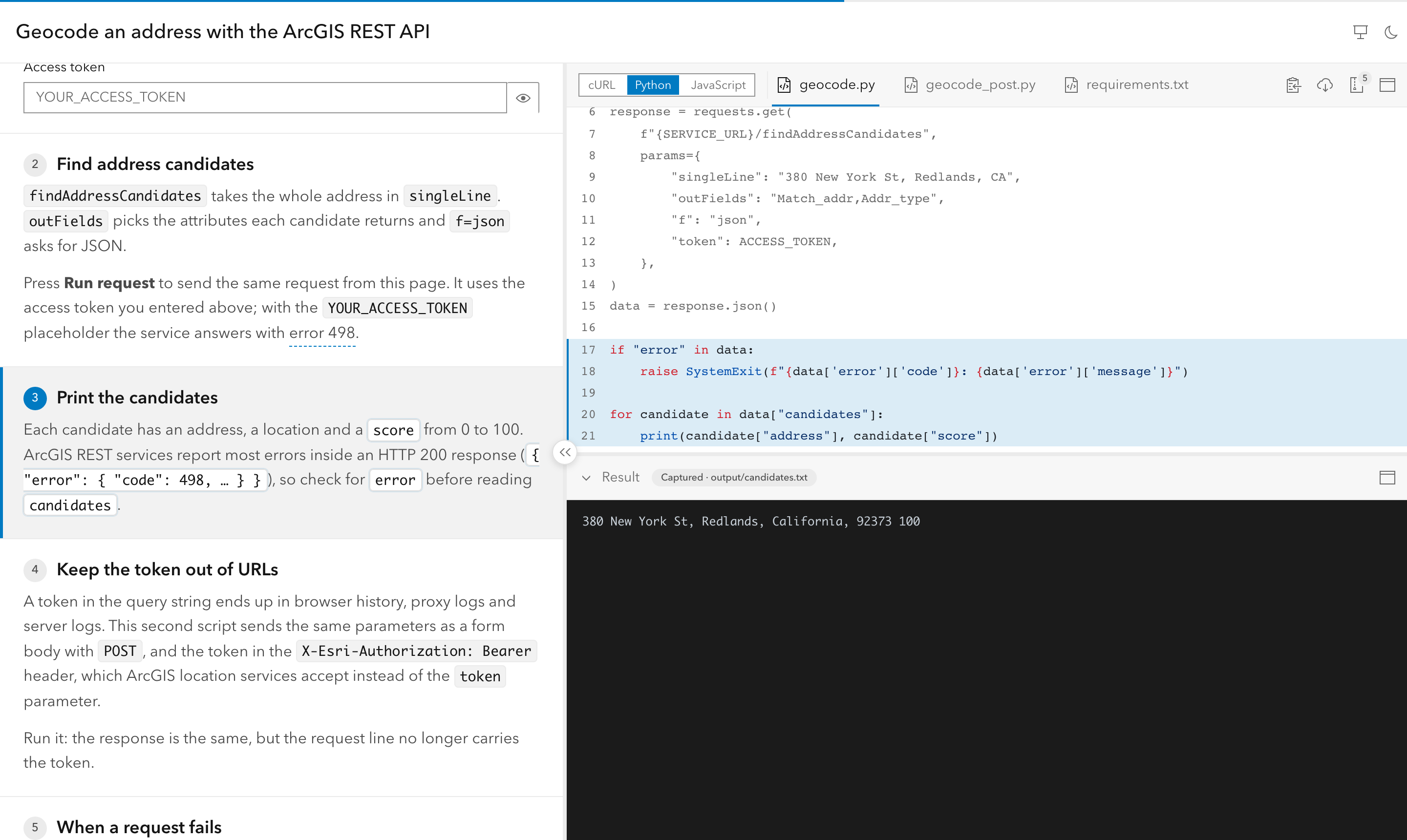 A Python script step: the Result pane under the code shows the captured terminal output of the script.